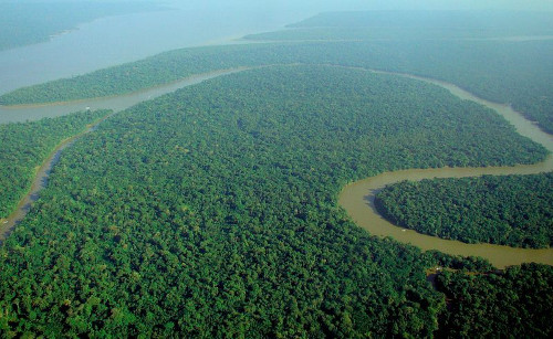 Vue depuis le hublot d’un avion de la rivière Solimões en Amazonie.
