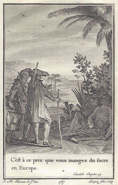 Candide rencontrant un esclave ayant été mutilé (chapitre 19).