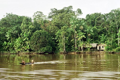 Habitat traditionnel le long de l’Amazone.